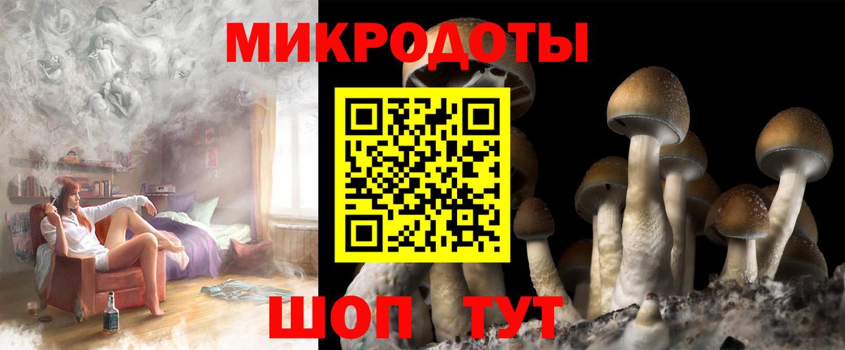 Галлюциногенные грибы Magic Shrooms Чапаевск