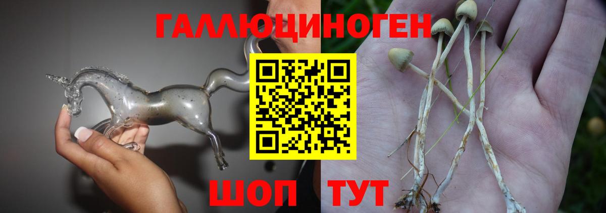 Галлюциногенные грибы GOLDEN TEACHER  Галлюциногенные грибы Magic Shrooms  Вход с VPN  Чапаевск 